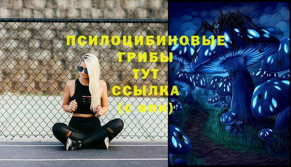 молекула духа Остров