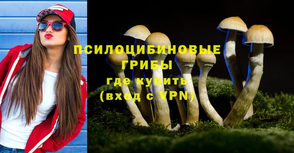 молекула духа Остров
