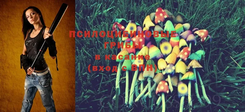 наркотики  Обнинск  Псилоцибиновые грибы Magic Shrooms 