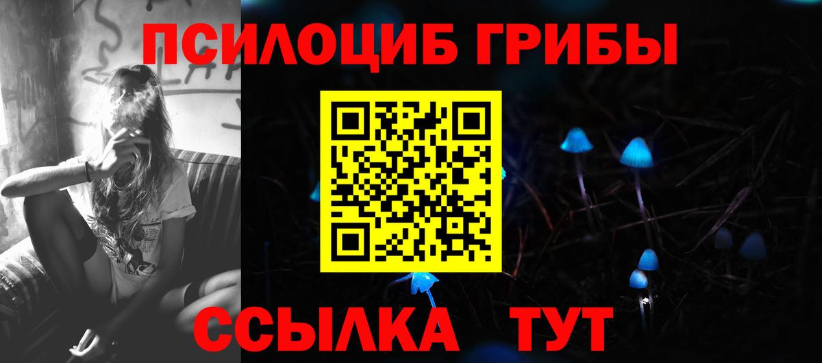 Обнинск  Псилоцибиновые грибы мицелий  Вход с VPN 